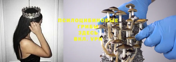 не бодяженный Беломорск