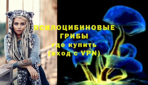 не бодяженный Беломорск