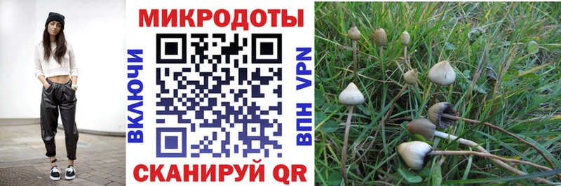Галлюциногенные грибы мухоморы  Курчалой 